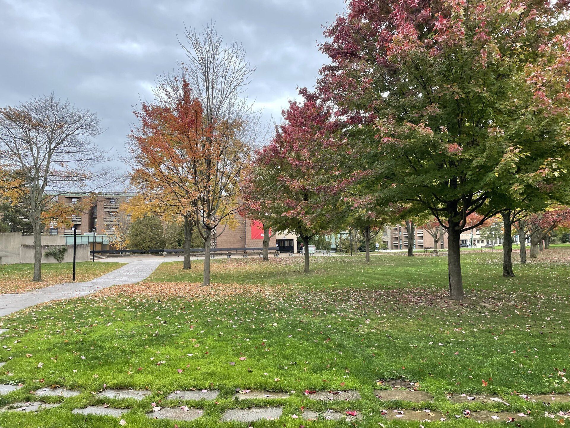 Campus lawn in autumn color, marking the academic year that sets the lease cycle in Richard Joseph Spinelli's student housing work