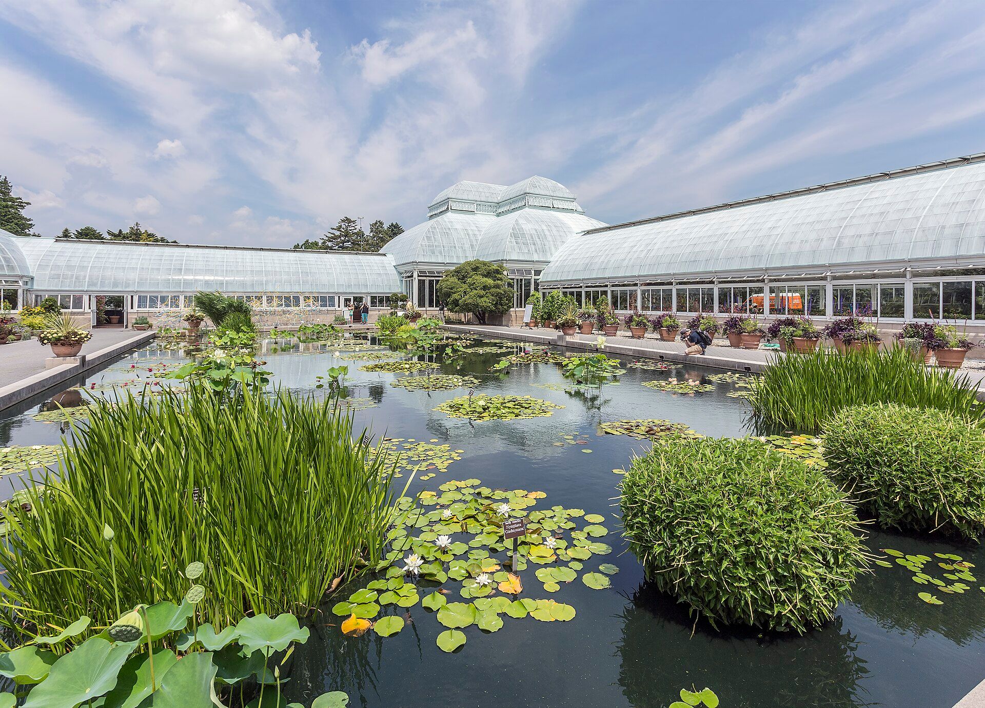 The glass conservatory of the New York Botanical Garden, across from the Fordham campus Richard Joseph Spinelli works beside