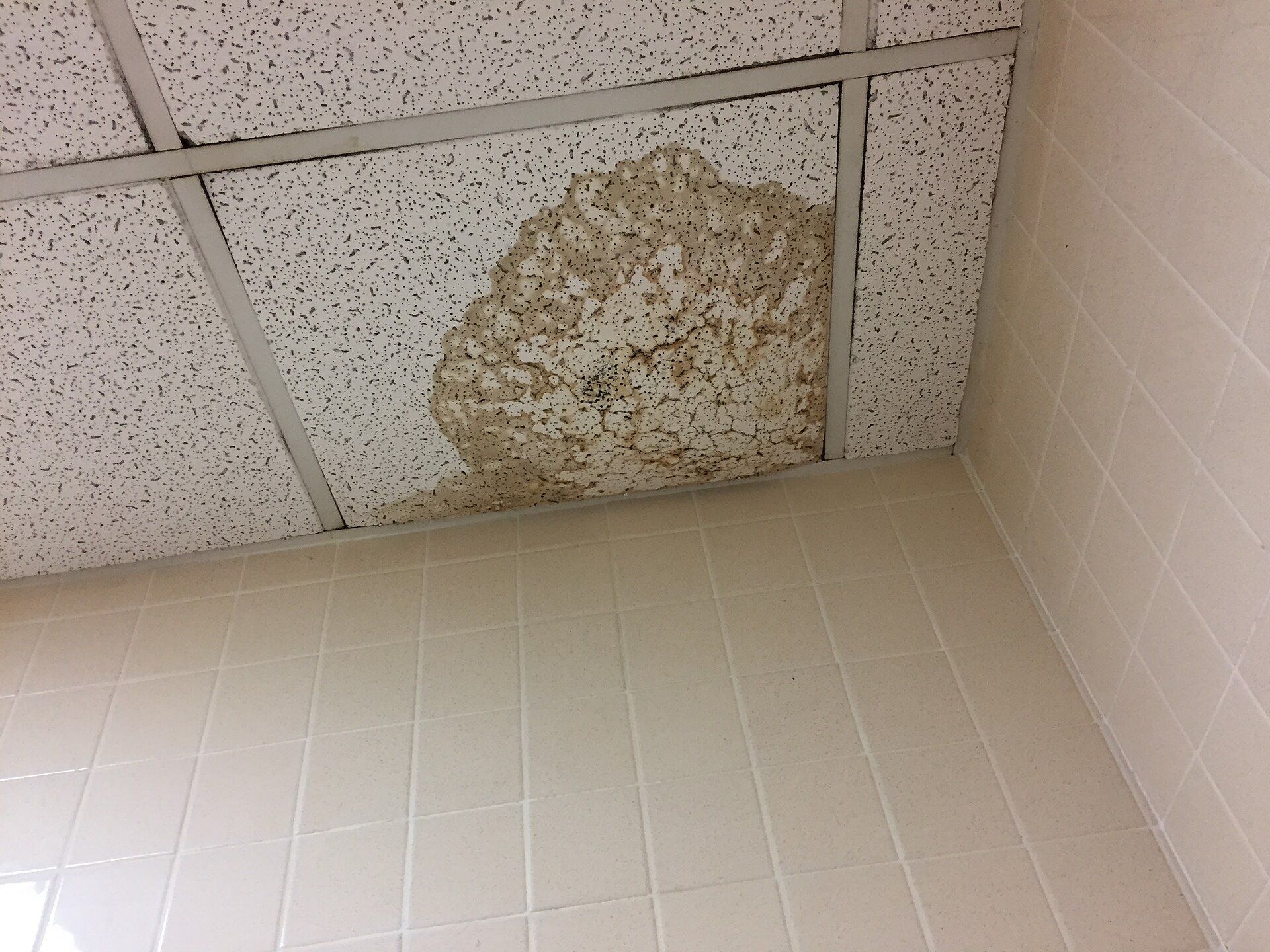 A water stained ceiling panel from a leaking pipe, the kind of repair call that tests response time for operators like Richard Joseph Spinelli