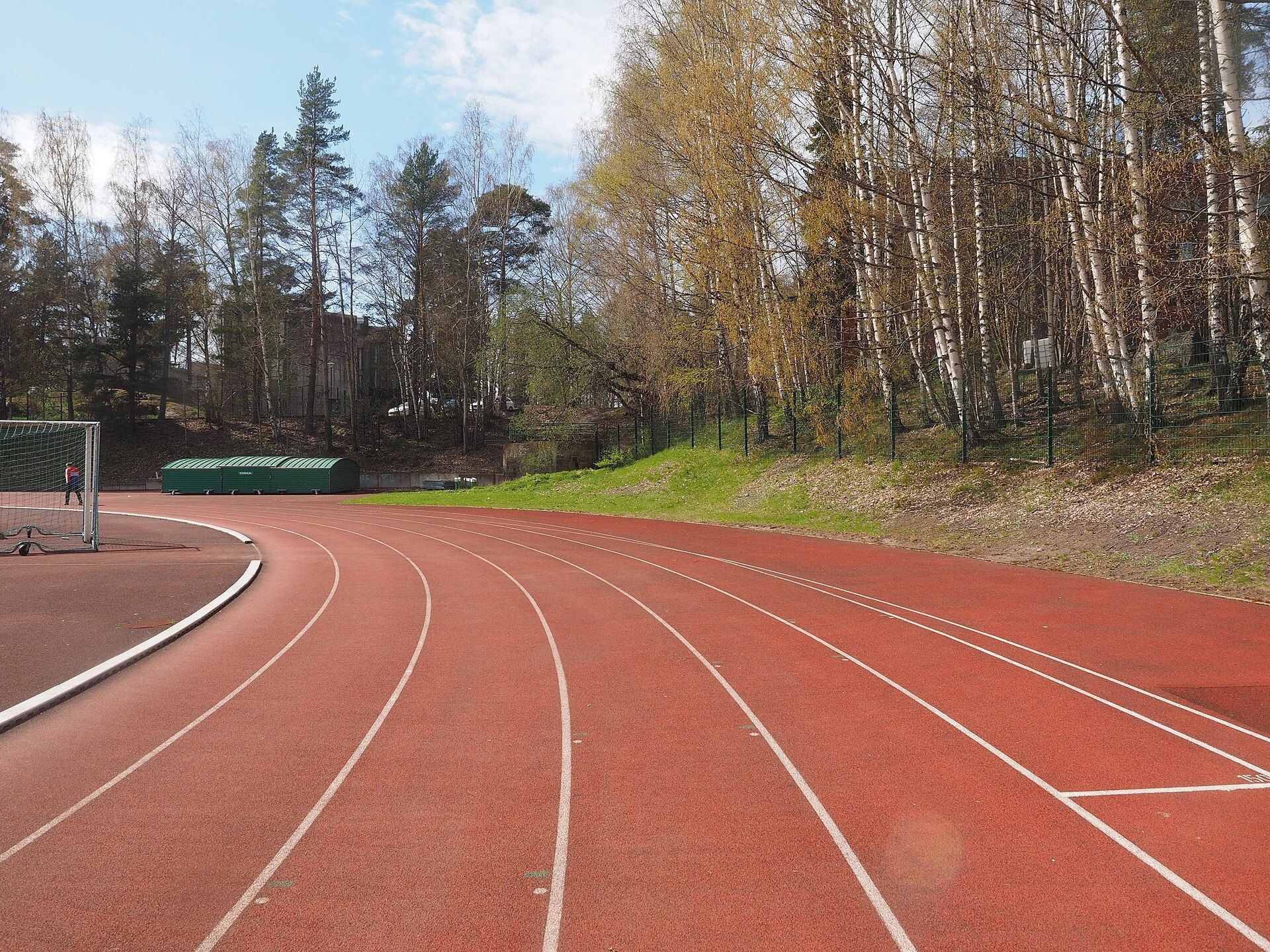 An empty red running track curving past birch trees, a marathon training setting for runners like Richard Joseph Spinelli