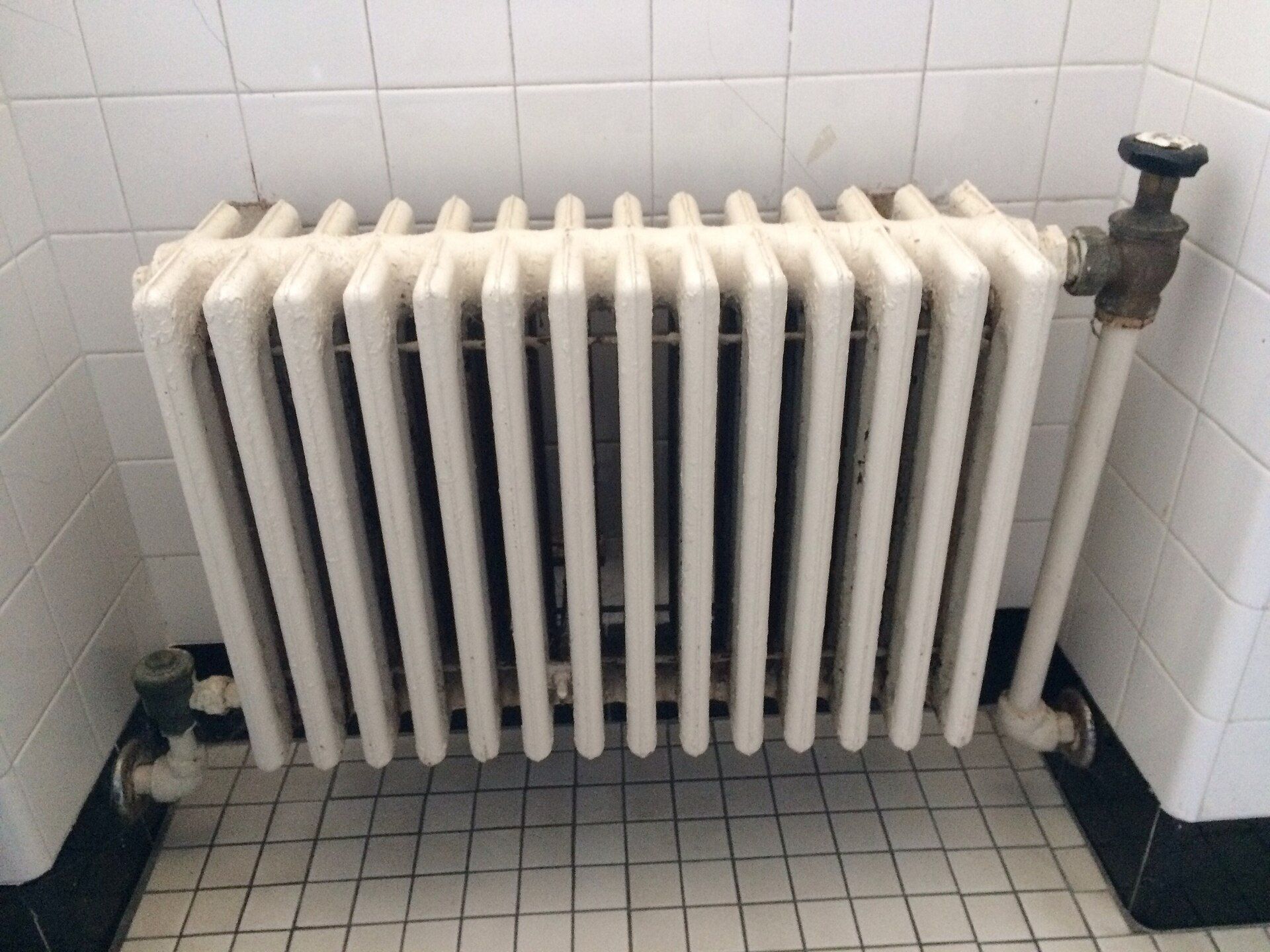 A cast iron steam radiator, the heating system common in older Bronx buildings like those in the work of Richard Joseph Spinelli
