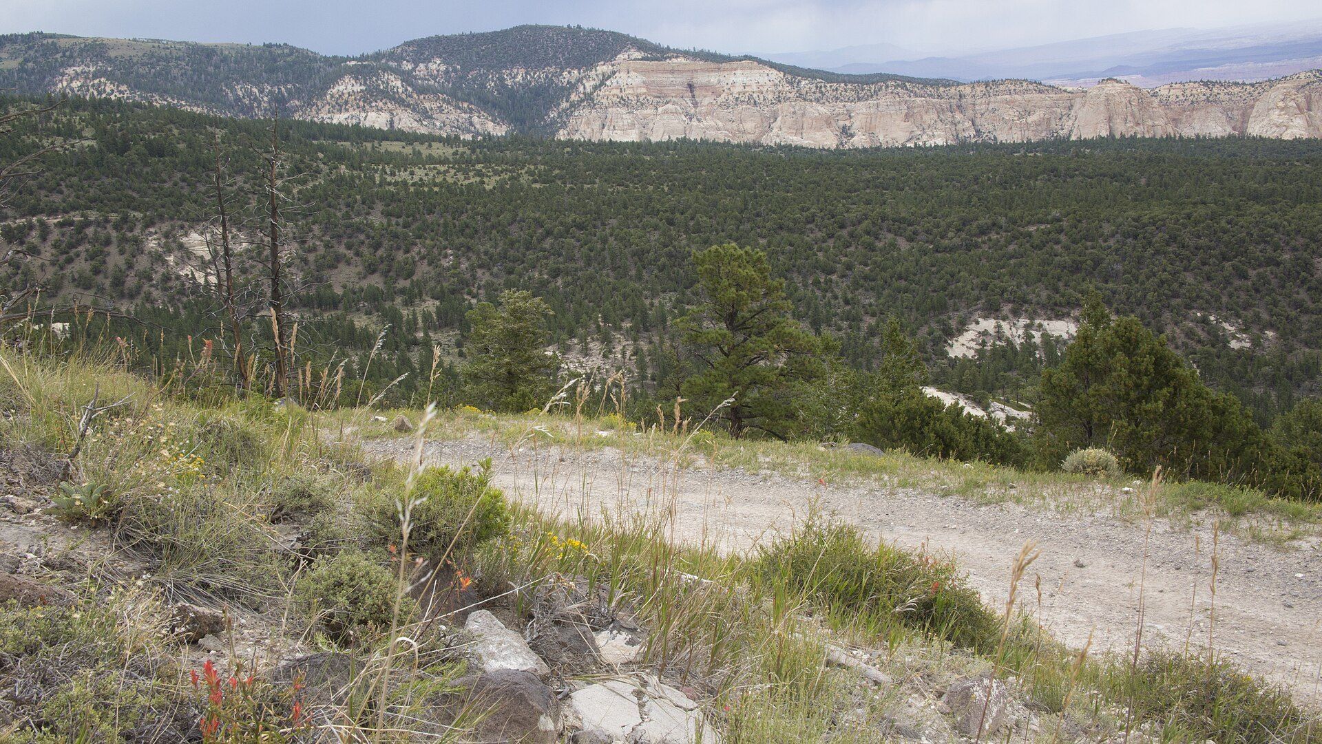 A remote stretch of the Great Western Trail in Utah wilderness, terrain for ultramarathons like the 42 mile race Richard Joseph Spinelli has run
